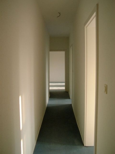 Diele , rechts vorne Zugang zur Küche, rechts hinten zum Schlafzimmer und geradeaus zum Wohnzimmer